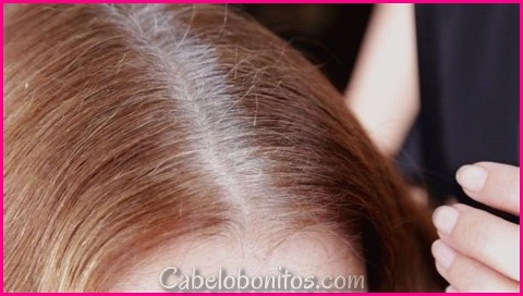 Cabelo Preto e branco: Contraste intemporal